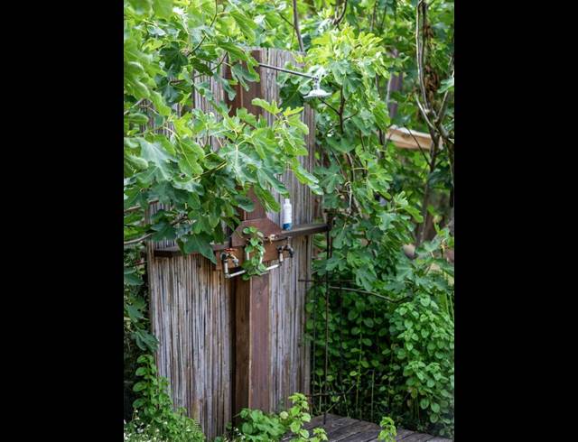 FARM FOR SALE IN PLETTENBERG BAY RURAL